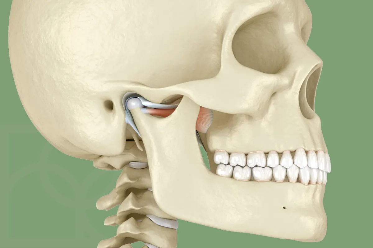 Çene Kilitlenmesi , Eklem İçi Disk Deplasmanı , Bruksizm, Diş Sıkma , Diş Gıcırdatma , Akut Kas Spazm , Noedent Diş Kliniği